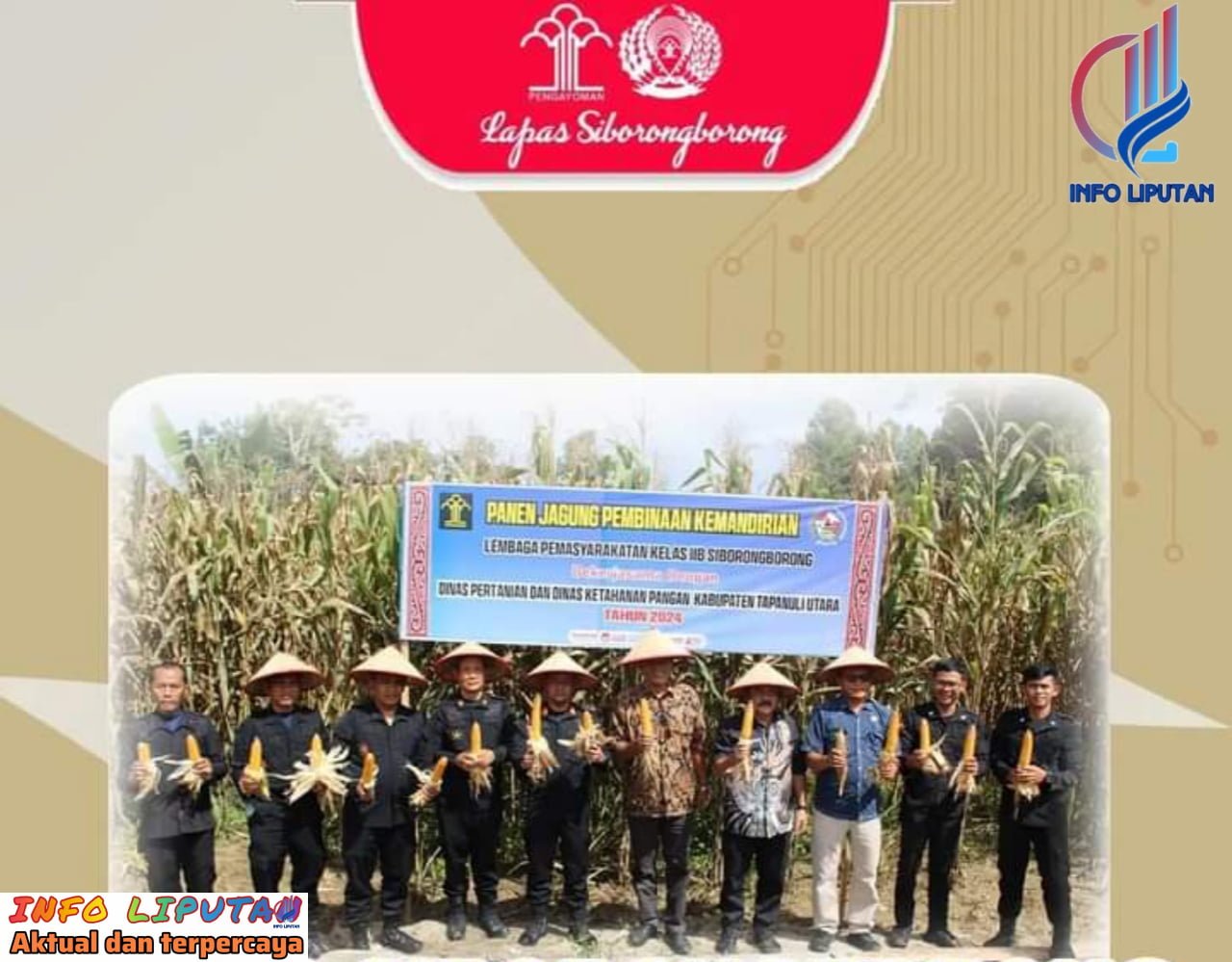 Bersama Dinas Ketapang dan Dinas Pertanian,Lapas Siborongborong Panen Jagung Hibrida