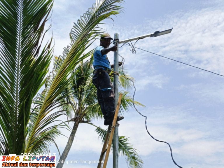 Pekon Ketapang Kecamatan limau Membagun Infrastruktur Angaran DD Untuk Penerangan Jalan Umum