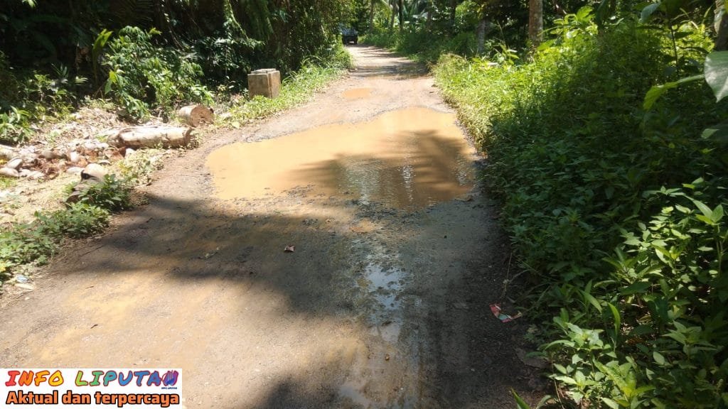 Kondisi Jalan Menuju Dusun Sinar Baru Dan Pendukuhan Cadas Sari Memprihatinkan Warga Mengeluh