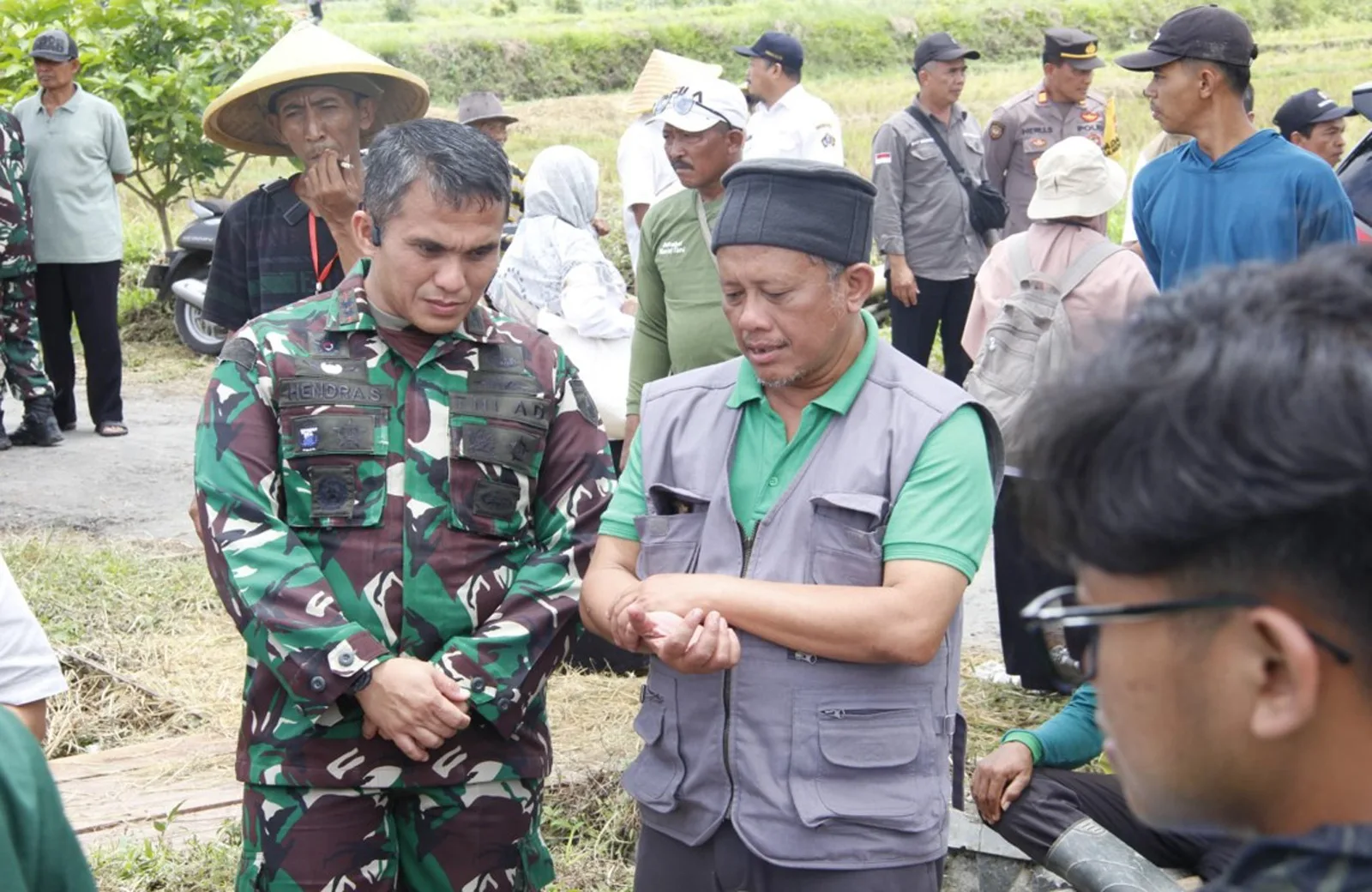 Panen Raya Padi, Dandim 0808 Dan Kadistan Kabupaten Blitar Dampingi Dirjen Perlindungan Tanaman Kementan RI Di Desa Soso