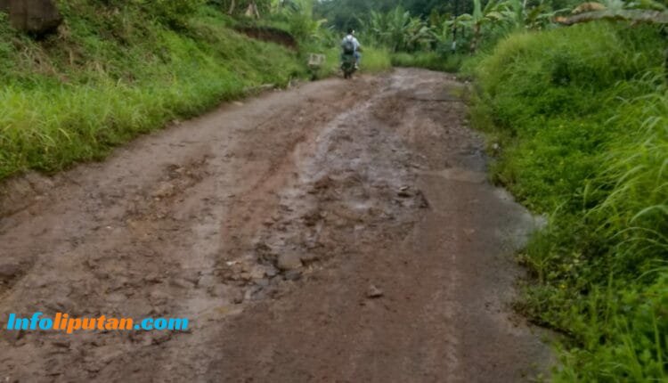 Kondisi Jalan Di Kecamatan Pagelaran Utara Sangat Memprihatinkan