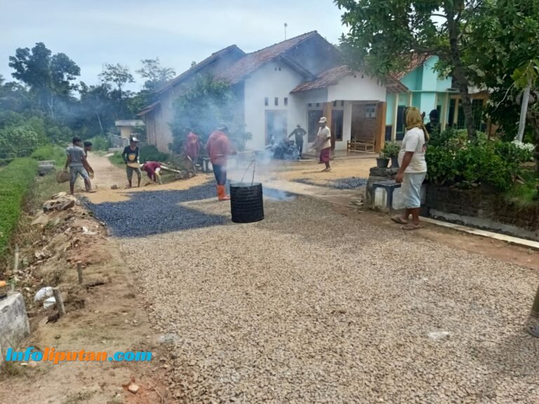 Pekon Bandung Baru Bagun Jalan Desa Sepajang 700 Metar Menggunakan Angaran DD Tahun 2024