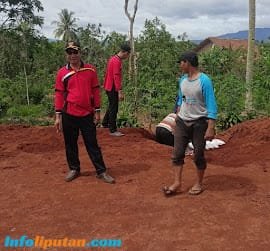 Kepala Pekon Air Kubang Bersama Masyarakat Gelar Kegiatan Gotong royong Di Lapangan
