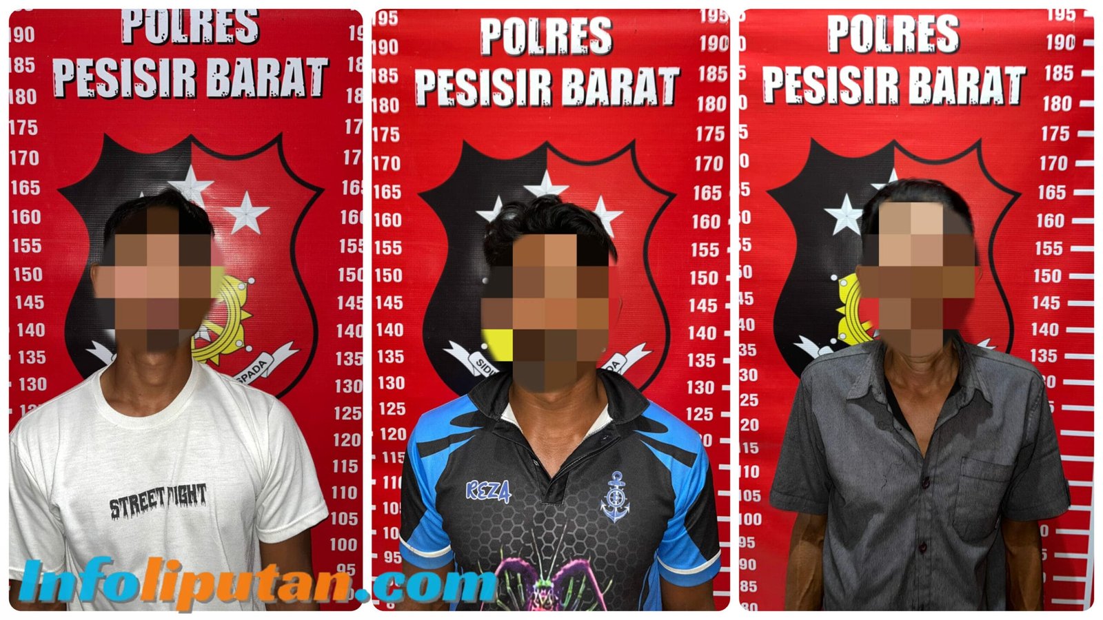 Sat Reskrim Polres Pesisir Barat Ungkap Kasus Perburuan Satwa langka tetap Dilindungi