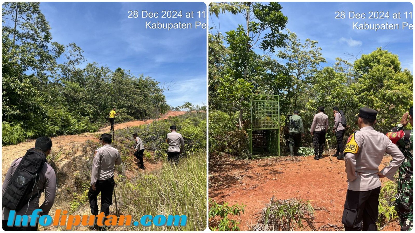Waka Polres Pesisir Barat Tinjau Langsung di Posko Hewan Buas