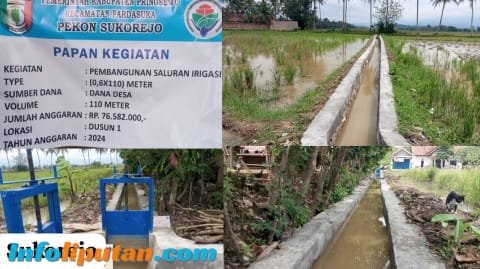 Pekon Sukorejo Laksanakan Pembagunan Irigasi Pertanian