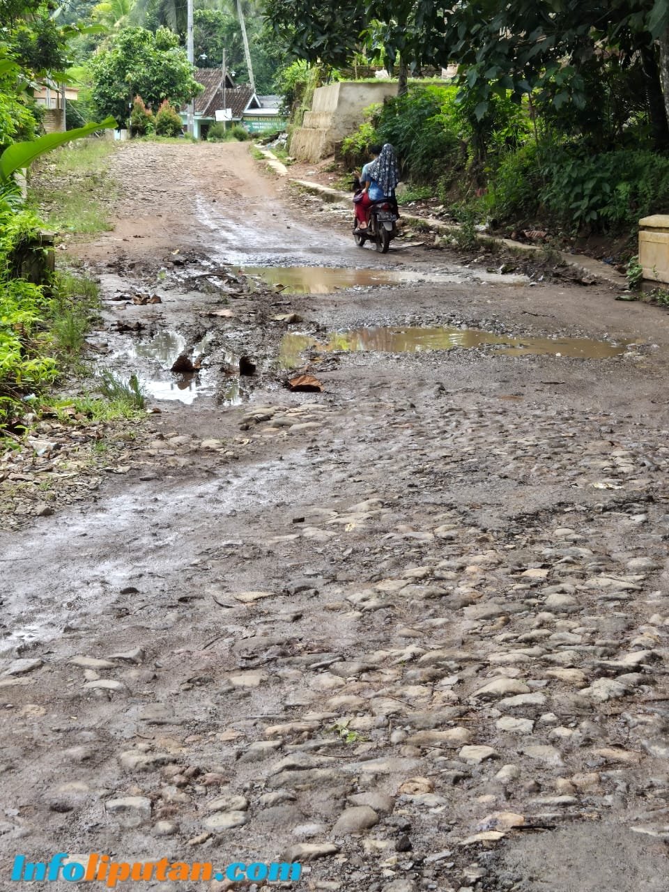 Pekon Way Handak Kecamatan Pugung Prioritaskan Jalan Dalam Musrenbang Di Hadiri Angota Dewan Andri Kusuma S.H