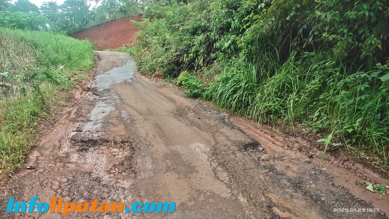 Longsornya Tebing di Sisi Jalan Rugikan Para Petani, Ini Salah Siapa ??