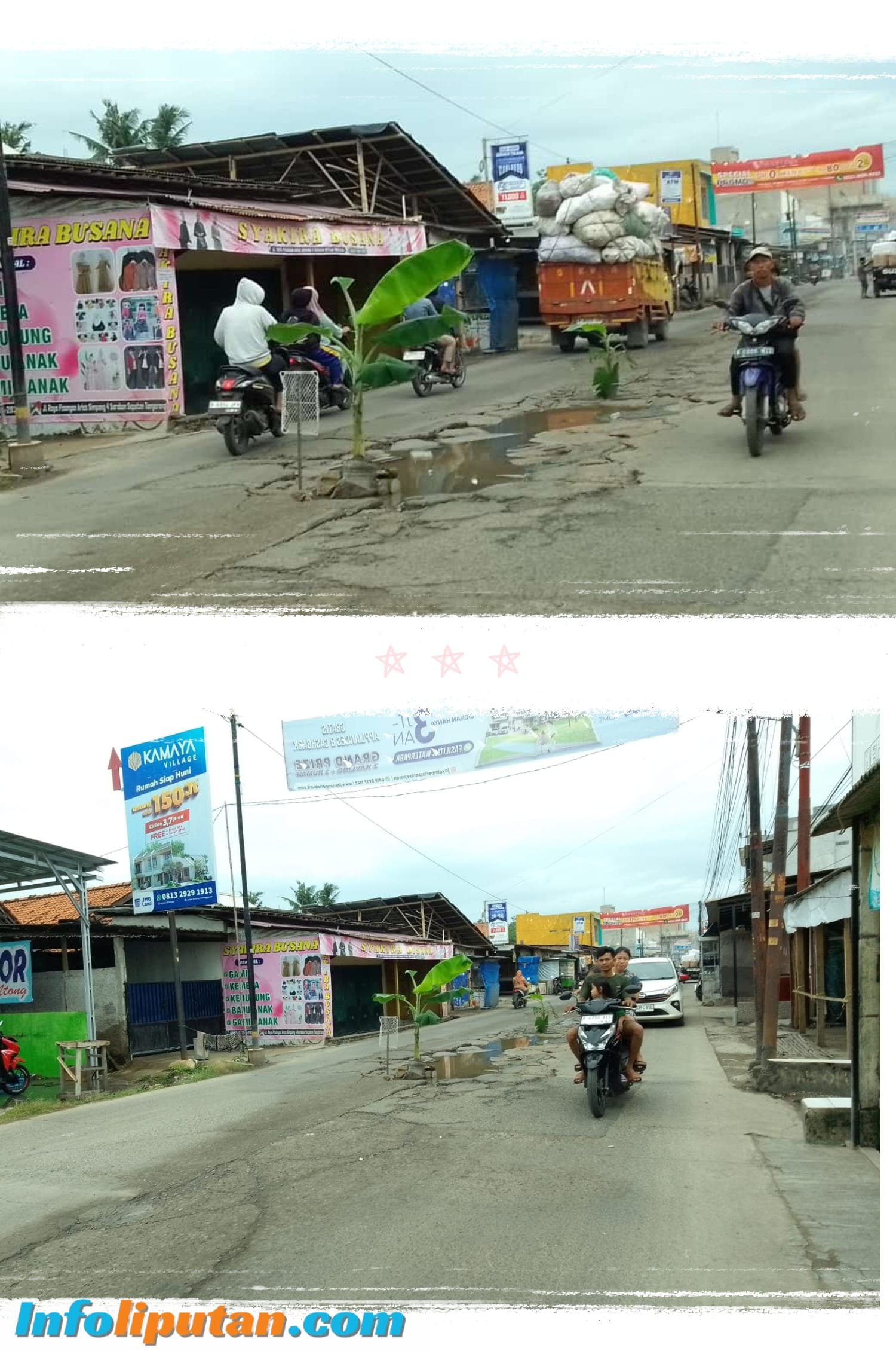 Warga Tanam Pohon Pisang di Tengah Jalan Raya Pisangan Aries Sebagai Bentuk Protes