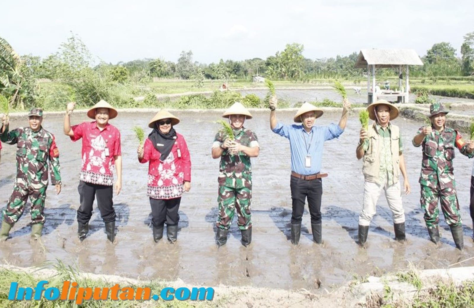 Dukung Ketahanan Pangan,Kodim 0808/Blitar Tanam Padi Bareng Forkopimcam