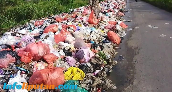 Warga Resah Tumpukan Sampah Beraroma Busuk di Pinggir Jalan Desa Tobat Balaraja