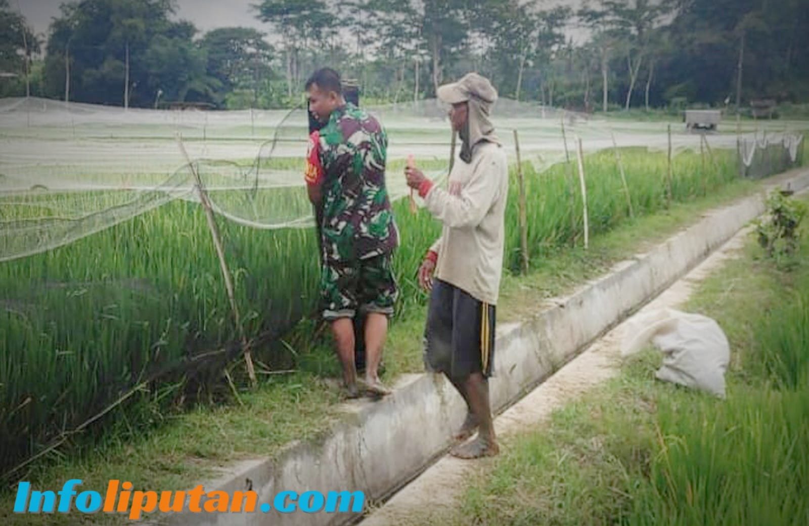 TNI Peduli, Babinsa Desa Ngemul Turun Langsung Bantu Petani