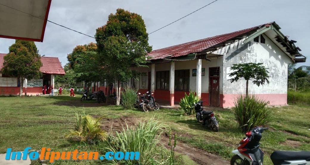 Tragedi Pendidikan di Krui: TK Satu Atap Ditutup, Nasib Anak-Anak Terabaikan?