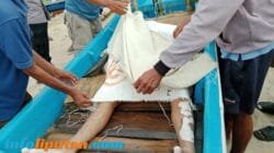 Nelayan Hilang di Labuhan Agung Ditemukan Meninggal Dunia