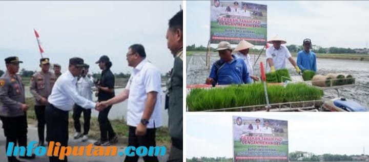 Bupati dan Wakil Bupati Deli Serdang Dorong Modernisasi Pertanian di Desa Sidodadi Ramunia