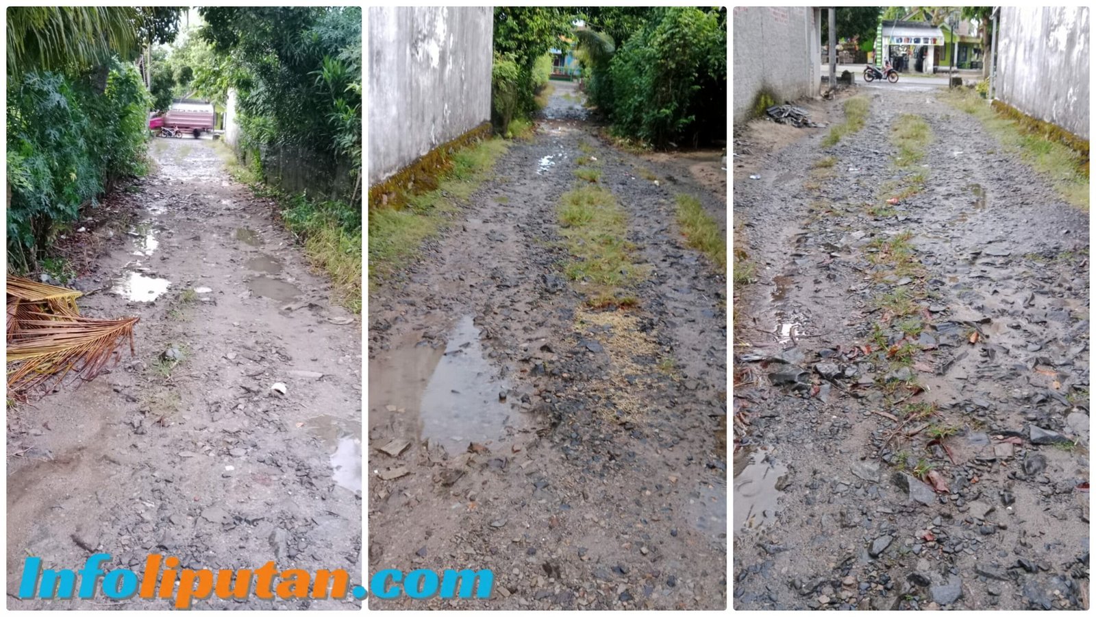 Jalan Rusak di Ngambur: Akses Poskesdes, Sekolah, dan Kantor Camat Terhambat