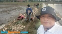Pekon Pujodadi Bangun Tembok Penahan Tanah (TPT) Di Area Jalan Tani Dengan Angaran DD Tahap 1 Tahun 2025