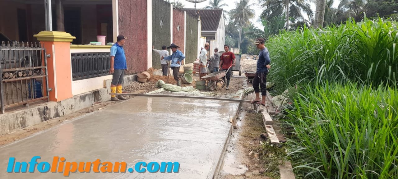 Pekon Wariginsari Barat Bagun Jalan Rabat Beton Degan Angaran DD Tahap 1 Tahun Angaran 2025