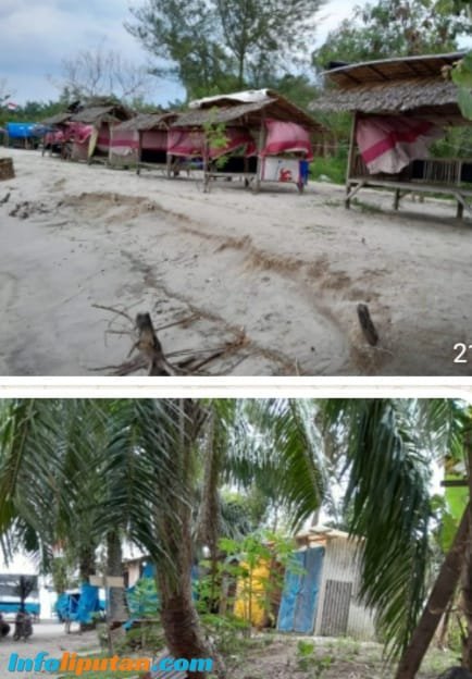 Hutan Lindung Pantai Remis Terancam: DLHK Sumut Diminta Bertindak Tegas