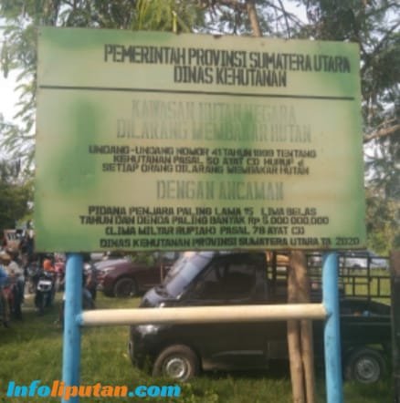 GAWAT…! Eksploitasi Pantai Remis Picu Abrasi, Hutan Mangrove Terancam Punah