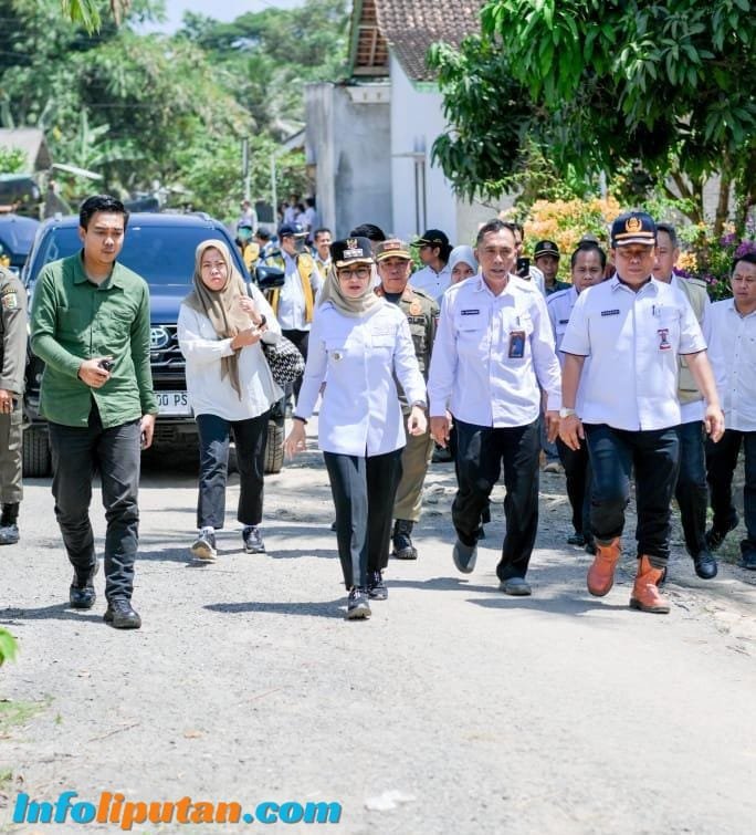 Jalan Rusak Viral Dimedsos Bupati Pesawaran Tinjau Langsung Kelokasi