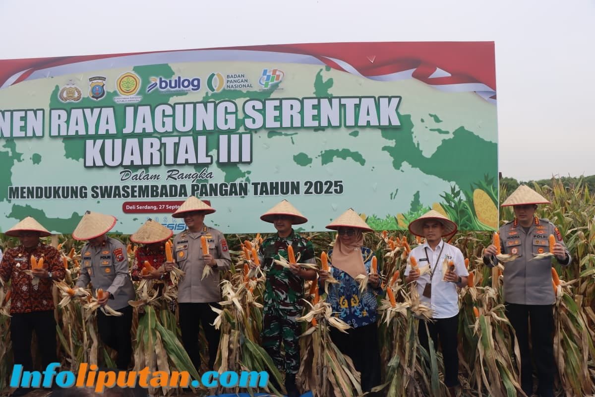 Polresta Deli Serdang Gelar Panen Raya Jagung Kuartal III, Dukung Ketahanan Pangan Nasional