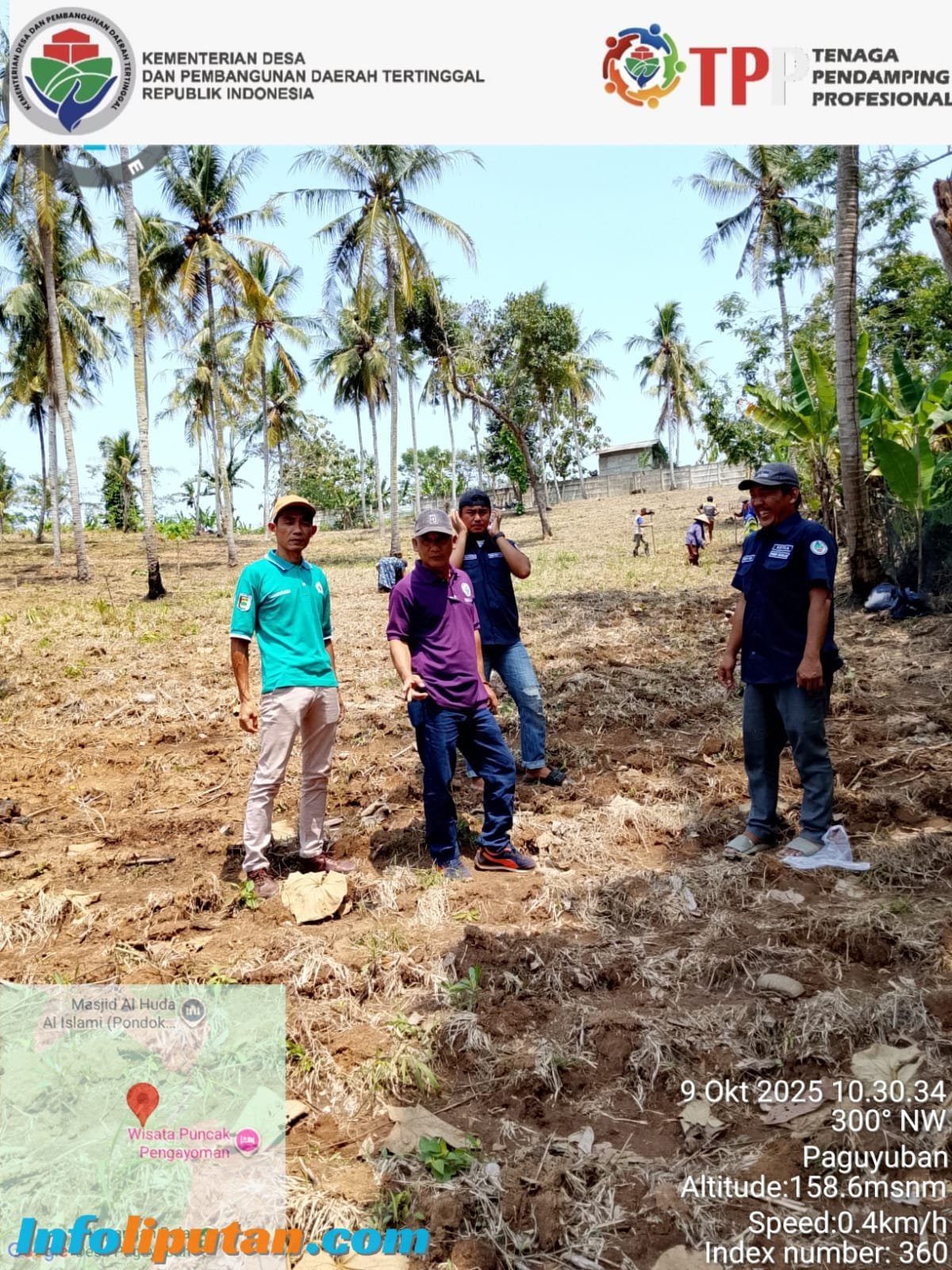 Desa Gedung Dalom Gelar Kegiatan Penanaman Jagung, Tingkatkan Ketahanan Pangan Tahun 2025