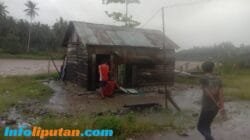 Banjir Bandang Landa Desa Tinigi, Tolitoli: Warga Dievakuasi, Pemerintah Diharapkan Bertindak Cepat