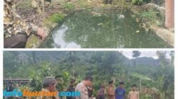 Polsek Pulau Panggung Identifikasi Balita Tenggelam di Kolam Penampungan