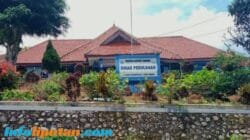 Dinas Perikanan Terseret Dugaan Penyimpangan Pengadaan Alat Tangkap Lobster, Rp 240 Juta Disorot