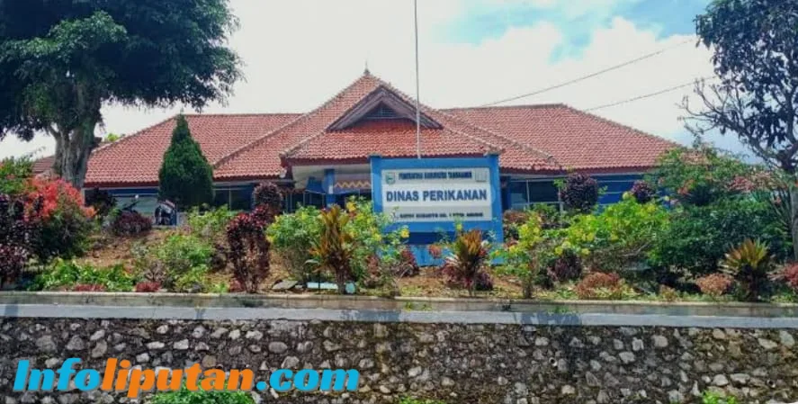 Dinas Perikanan Terseret Dugaan Penyimpangan Pengadaan Alat Tangkap Lobster, Rp 240 Juta Disorot