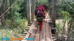Siswa SD Terjatuh di Jembatan Gantung Rapuh, Warga Harap Pemkab Tanggamus Segera Bertindak