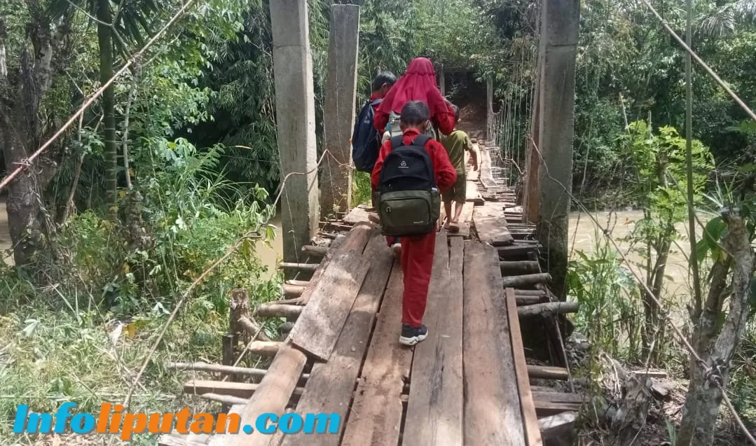 Siswa SD Terjatuh di Jembatan Gantung Rapuh, Warga Harap Pemkab Tanggamus Segera Bertindak