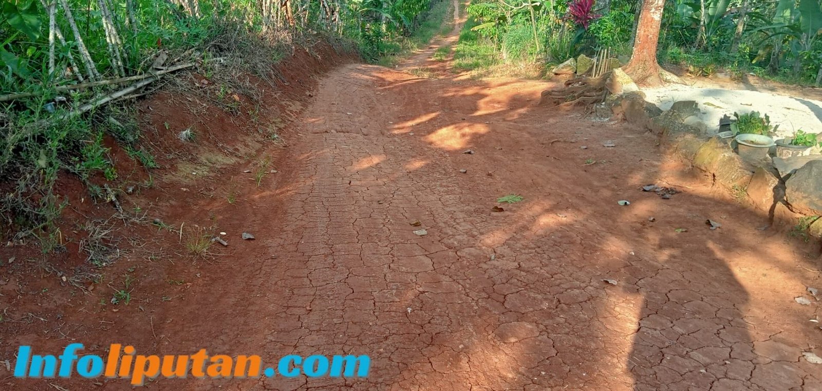 Warga Keluhkan Jalan Penghubung Batu Tegi–Sinar Sekampung Masih Tanah, Selama 20 Tahun