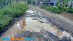Jalan Lintas Kabupaten di Pekon Batu Bedil Rusak Parah dan Berlubang, Warga Desak Perbaikan Segera