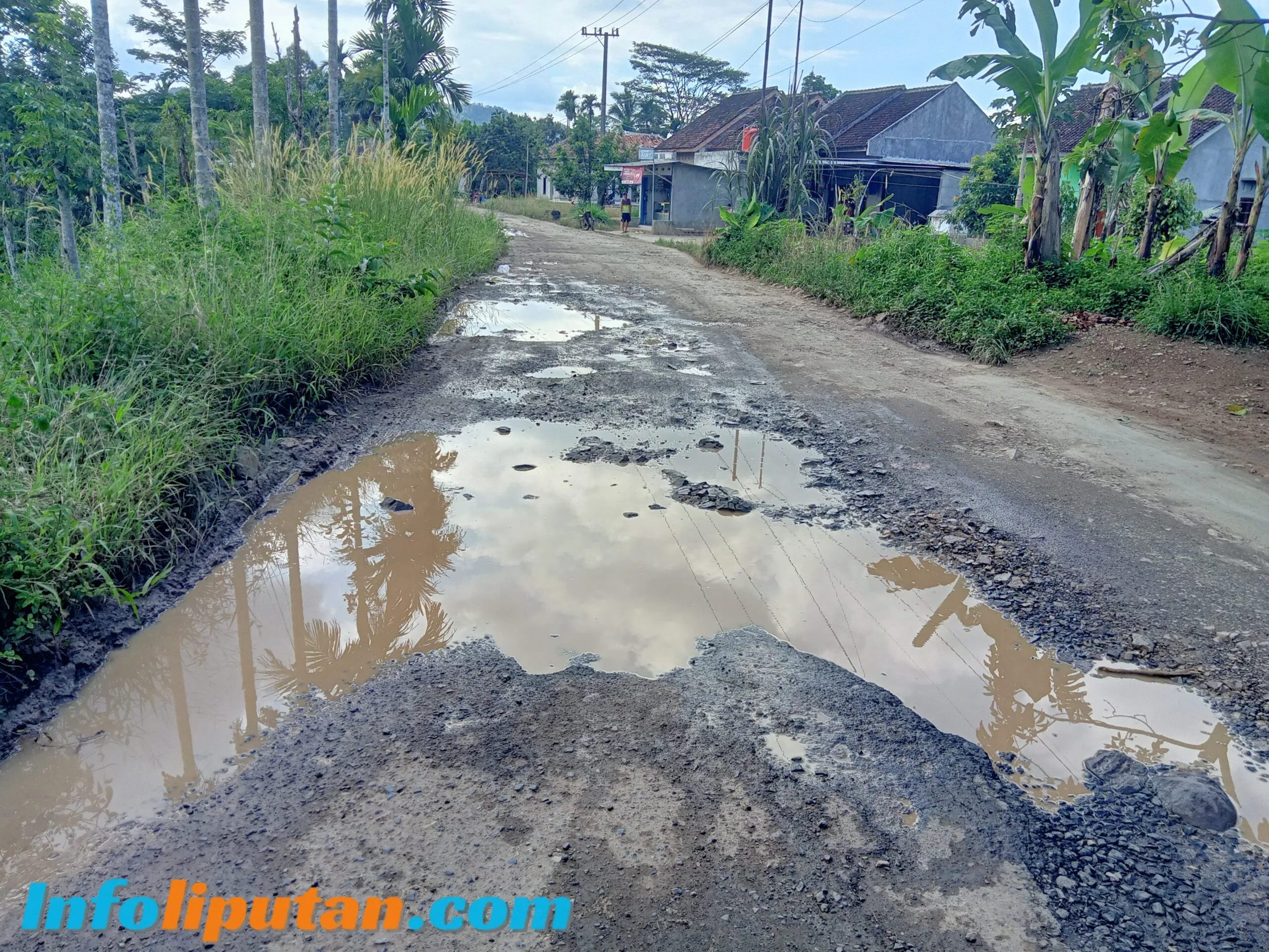 Jalan Lintas Kabupaten di Pekon Batu Bedil Rusak Parah dan Berlubang, Warga Desak Perbaikan Segera