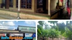 Sengketa Tanah Warisan Pekon Banyumas Berakhir, Pengadilan Tetapkan Katimun Ahli Waris Sah