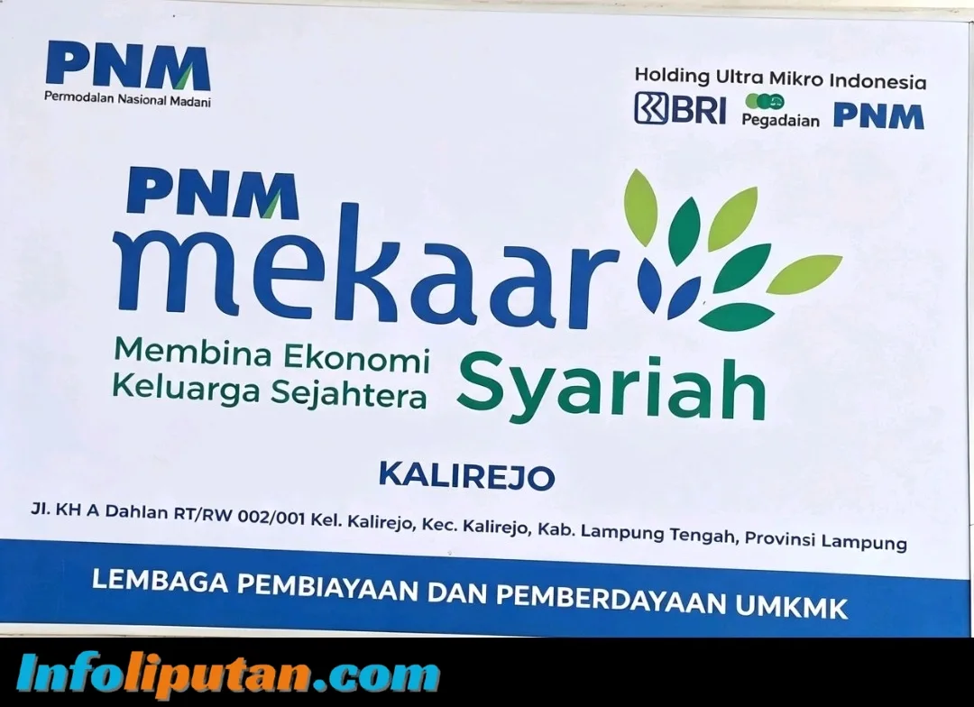 Mantan Karyawati PNM Mekaar Kalirejo Lampung Tengah Dibebani Teror Pesan WA, Isinya Penuh Intimidasi